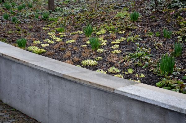 Cost of Concrete Wall Construction in Bozeman