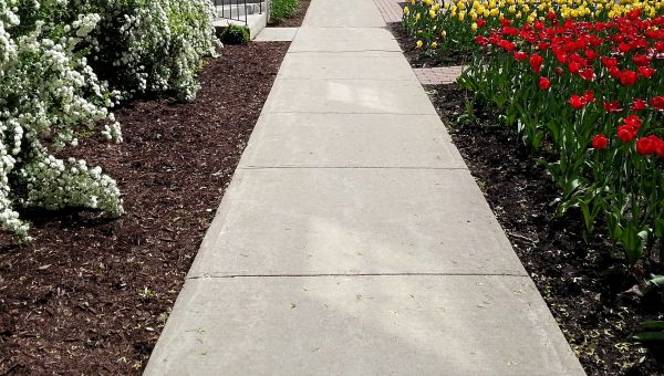 Cost of Cement Sidewalk Installation in Bozeman